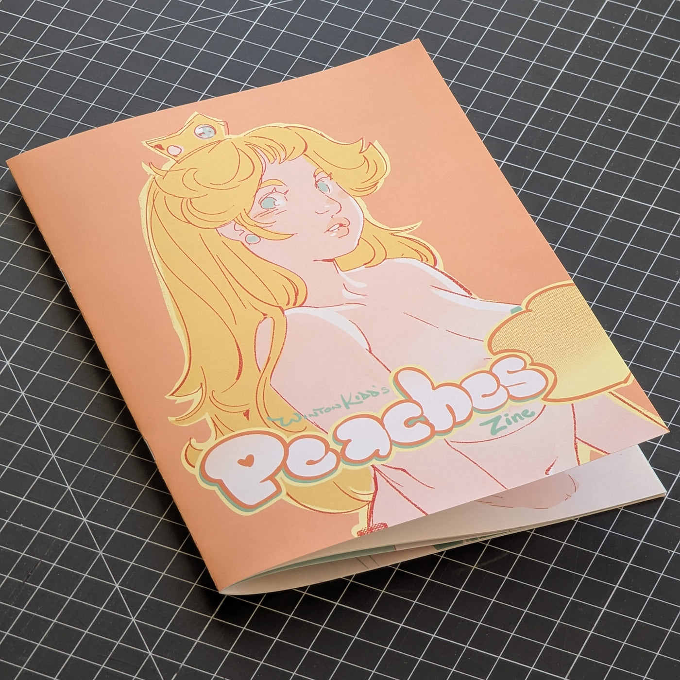 Peaches & Daisies Art Zine Bundle